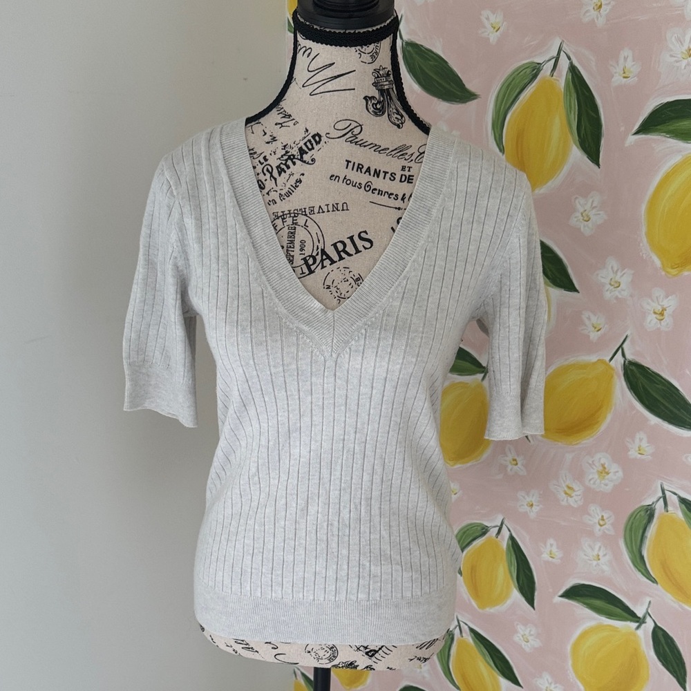 RW&CO. Light Gray Ribbed V-Neck Short Sleeve Sweater